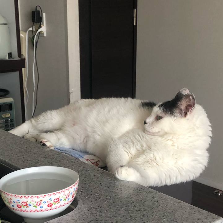 Da373fc5 ac2c 450a 980e 0e262641ee4c 1592264258825