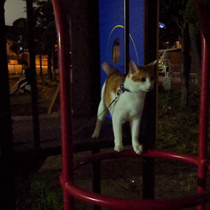 Da3754ba 6b3b 4ff8 bf49 bd45e82fb605 1564931082921