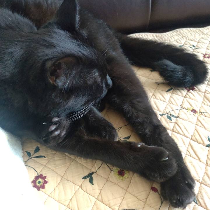 Da37a26e 69ea 4c55 af28 84f4fb679c85 1758082139944