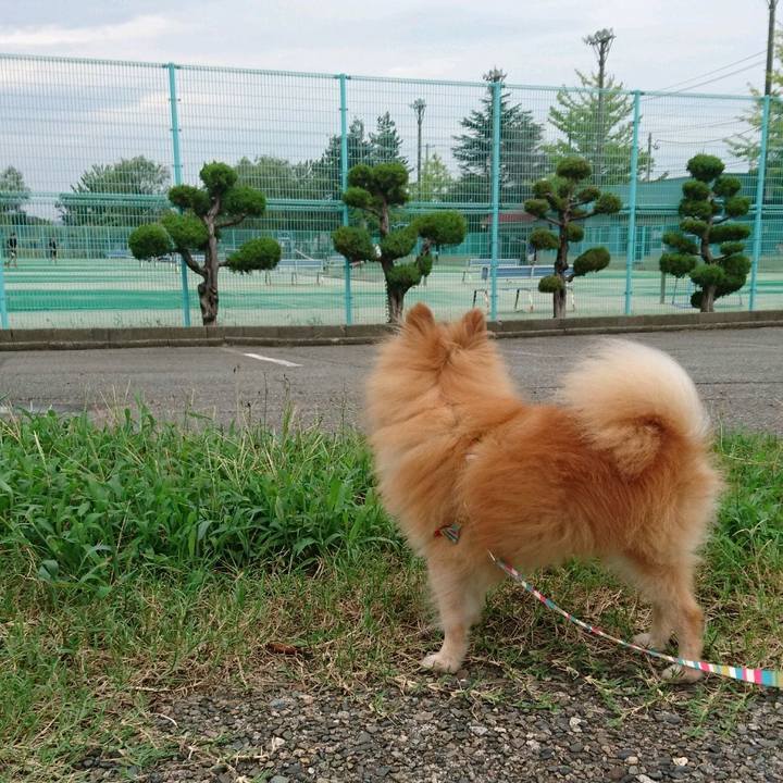 Da37bb6c 1a52 4823 9ca6 b7f06e75e062 1566549535748