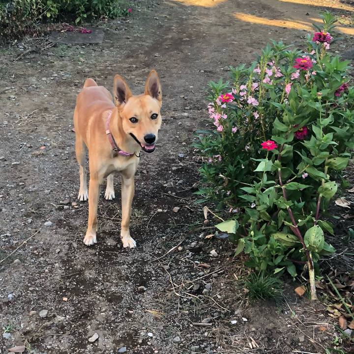 Da37c219 7603 4e47 af51 8e8a93609d68 1536481154462