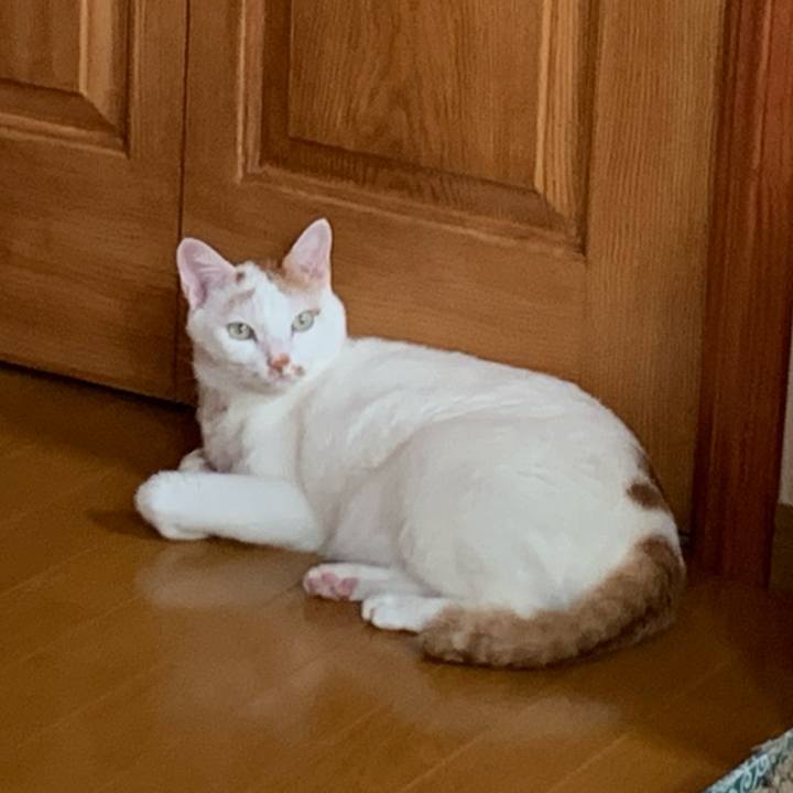 Da37d1bd 5af6 4943 ad41 dee35646add8 1627076231239