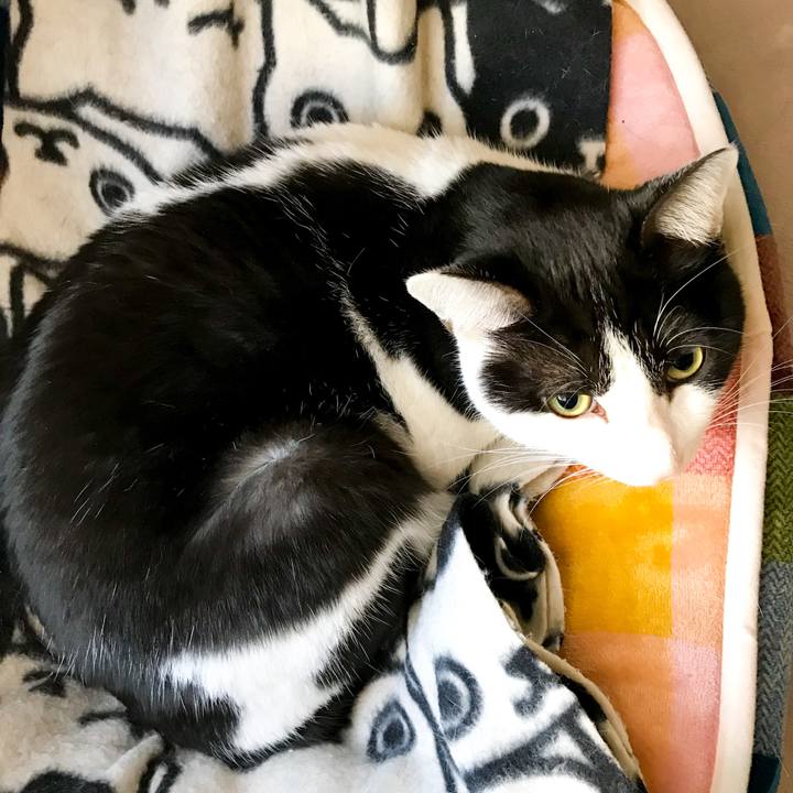 Da382e96 b2e5 4a76 a732 a0683430846f 1512867778354