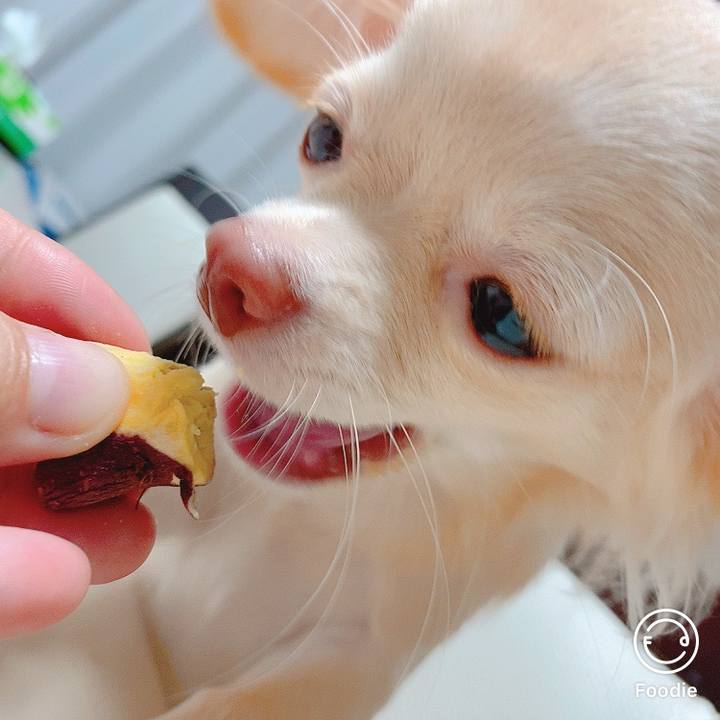 Da383c3f 5f97 48a3 91d1 e30a028ce63d 1602588823785