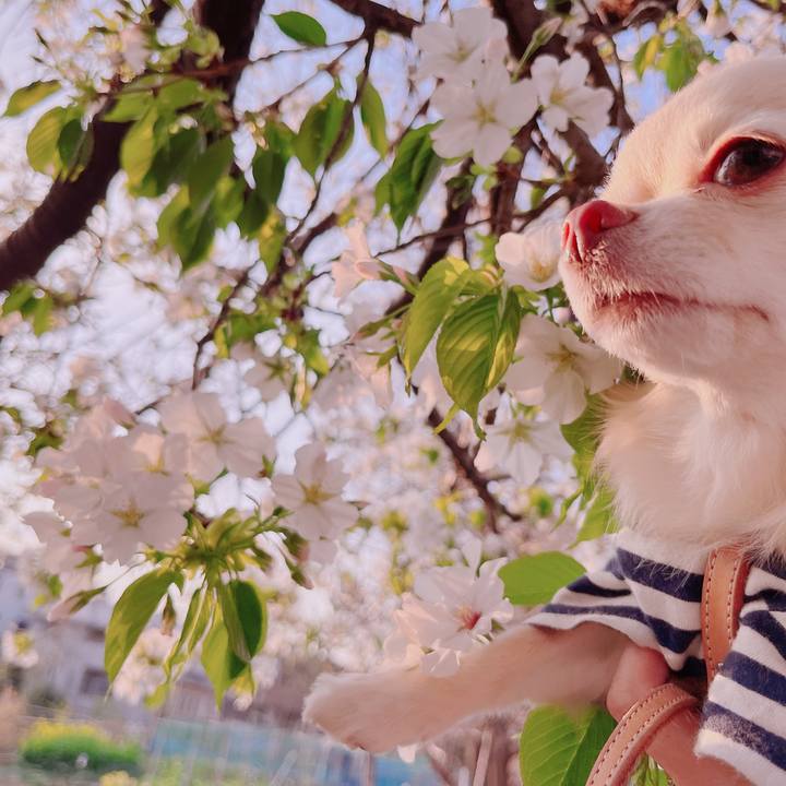 Da3847a4 0616 4e15 8082 09689aa1afe7 1679476475080