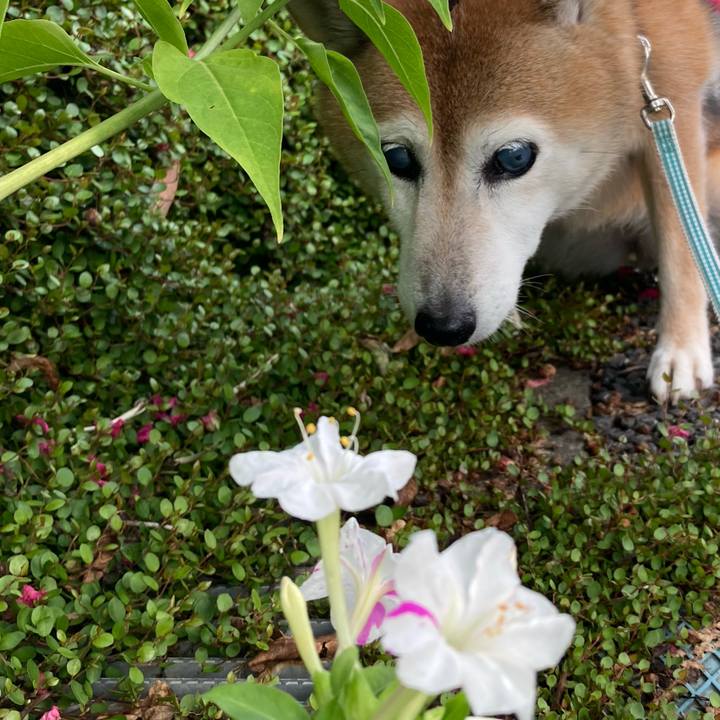 Da38a1bb 477d 4a7b aafe 6f27045a45d1 1757760362453