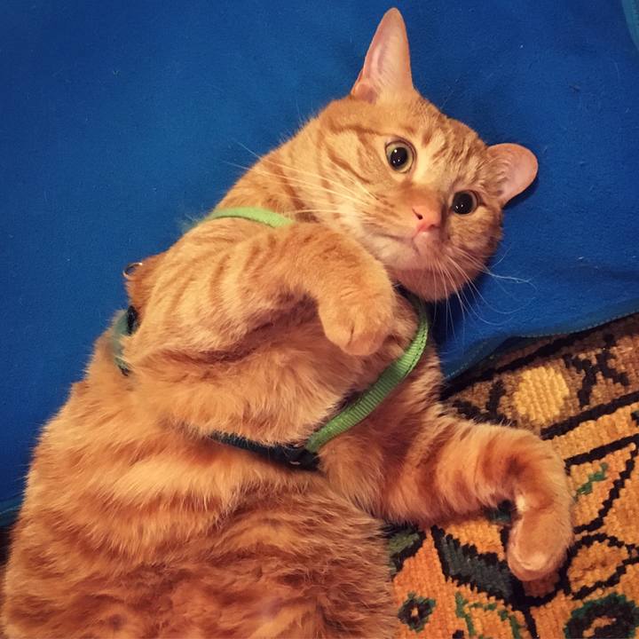 Da38a955 89f9 41f6 85c2 e635f0597197 1522814359590