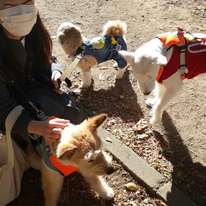 Da38d5db acb1 412b 9bed 9665db278b23 1764398570524