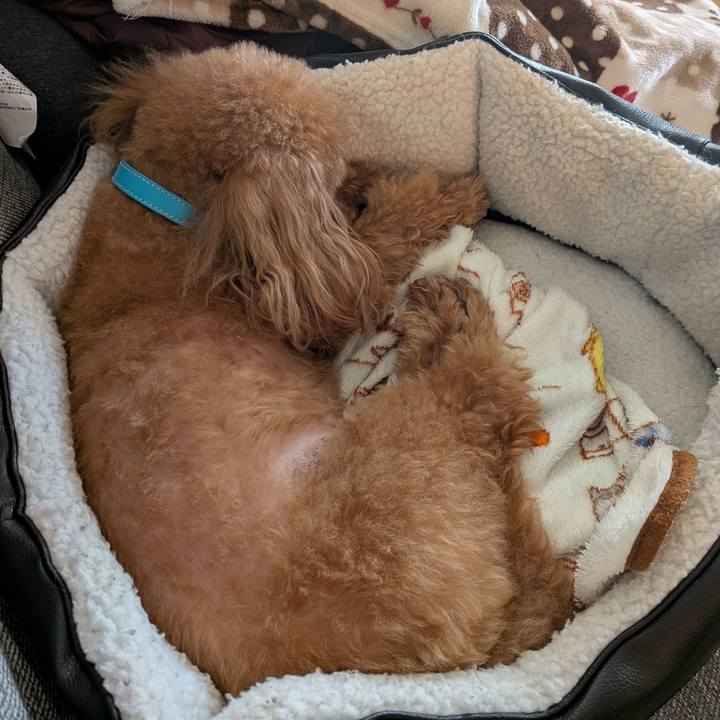 Da38f8ce a849 49f7 94ce 0c9da2ce5ccc 1770513990576