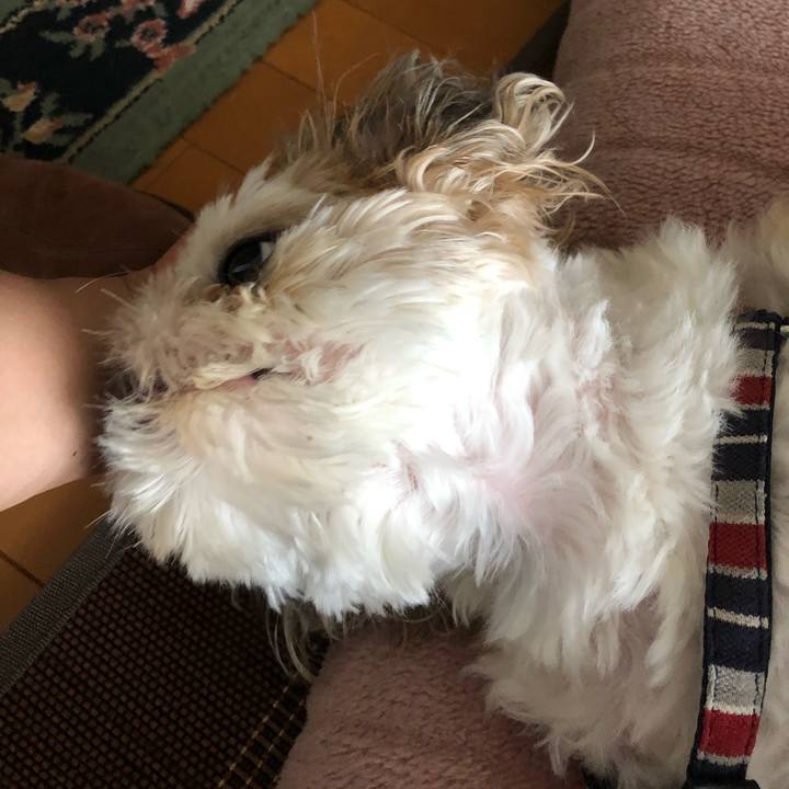 Da390cd2 1247 405a 8403 a7408487ded9 1526592975005