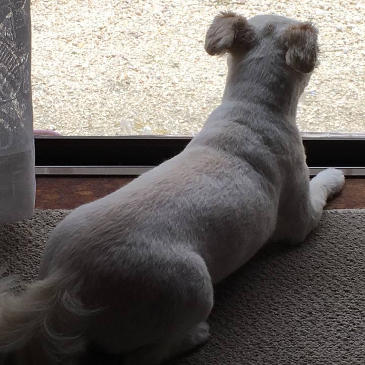 Da390d83 3eb8 43b8 98d7 81ad232a9b91 1532744641971