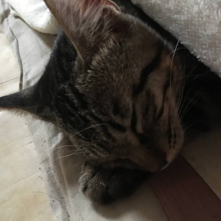 Da393283 5ab4 4289 8be3 552aa5716682 1541397669061