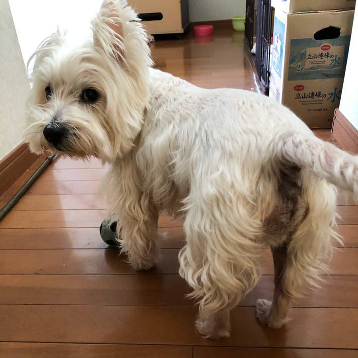 Da395be2 9947 42d7 be34 2ea77b1e30af 1578029458234