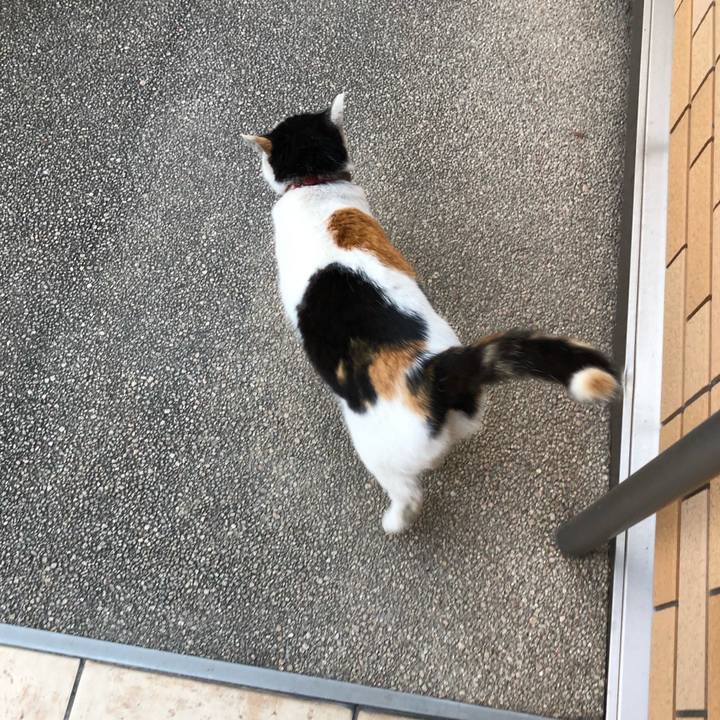 Da39b1d7 7b8b 4724 b3cd bff0eda54263 1616105397708