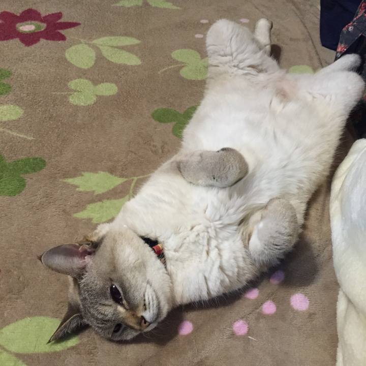 Da39d222 86f1 4098 b8f7 9dc84f1218e9 1549536210597