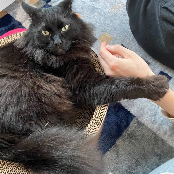 Da39d7d4 d558 4a4e b15c 27f100dc6985 1581751934552