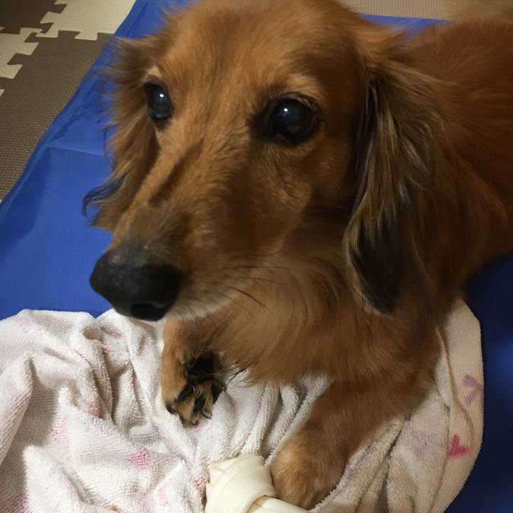 Da3a2f6b f9f5 4c02 bce4 e12bb97ce8d4 1570804523913