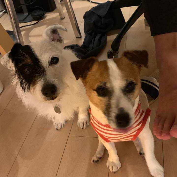 Da3a9afd fd50 487b 8905 ecc6cacc7c79 1588245739379