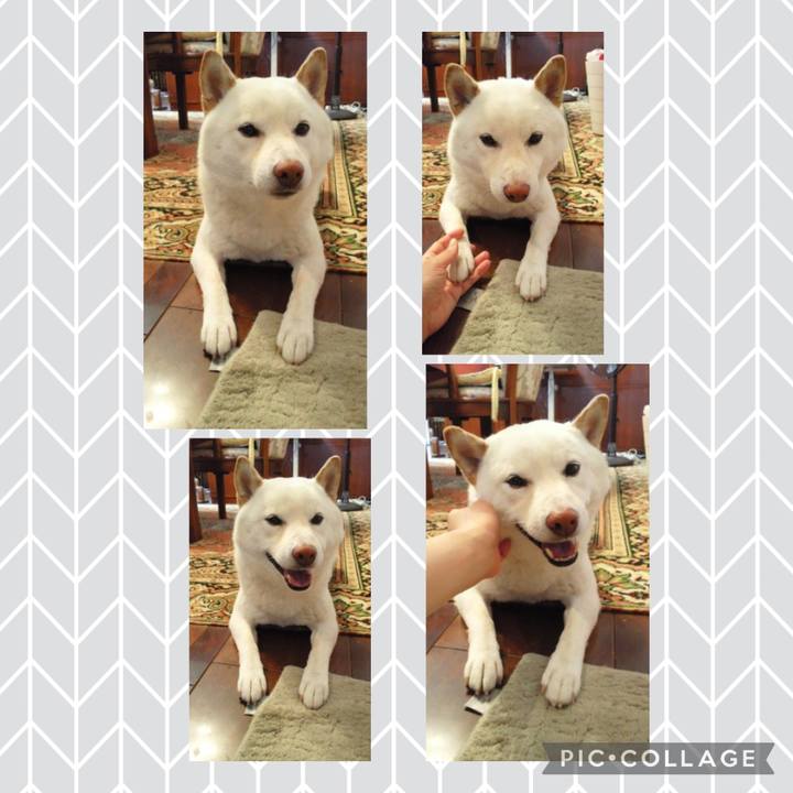 Da3ae6dc 5abb 42bc ac5f 14c5c00fd2f1 1648669326460