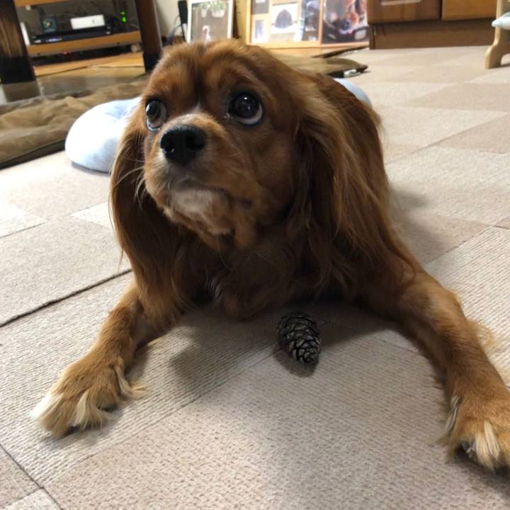 Da3b0660 f09c 4c94 b786 e62d1e00ec62 1560555563738