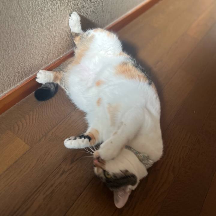 Da3b19d2 f3bd 4fad 8338 c69fdef2bb84 1766038207339