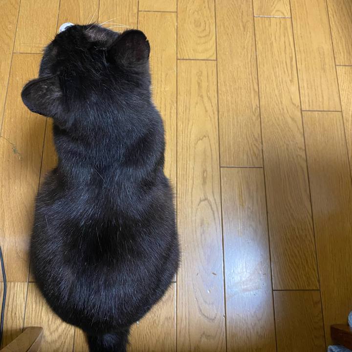 Da3b46ba fbdf 46bb a5df e95042170525 1686380455486