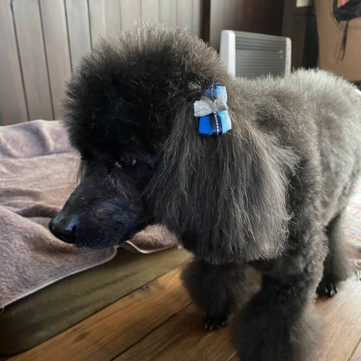 Da3b827a 036c 4d09 a149 38f947e0131e 1691926184964