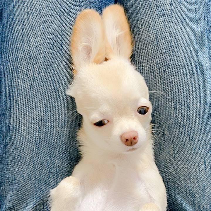 Da3ba89f 81e0 4788 842b 161aa733f516 1601541358922