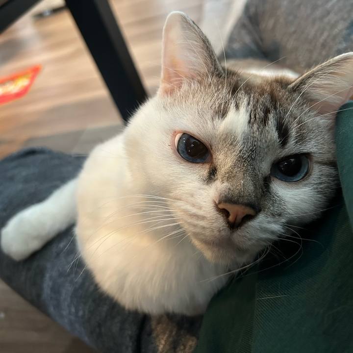 Da3bbdc5 70a7 4812 bd0b 3f26e4ec3b63 1709253651440