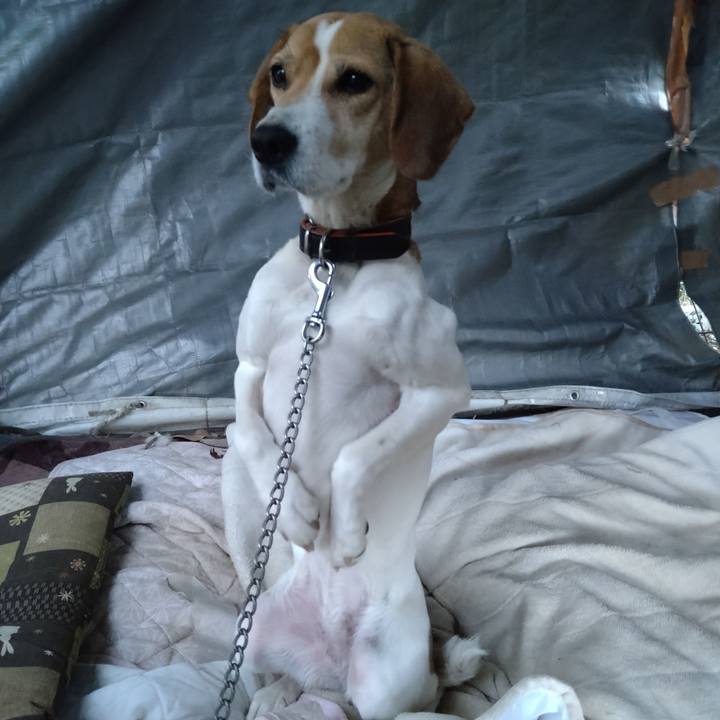 Da3bc1ac b2d0 4c93 a2d8 16f63094b70e 1641003071675