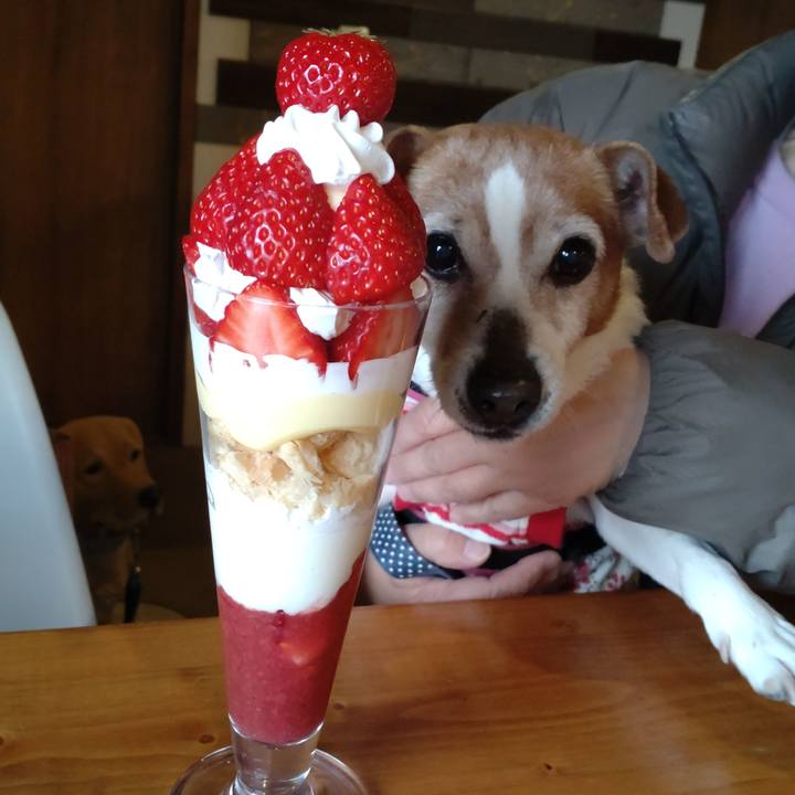 Da3bc323 8193 4243 b32b a2a6088b9809 1774167888137