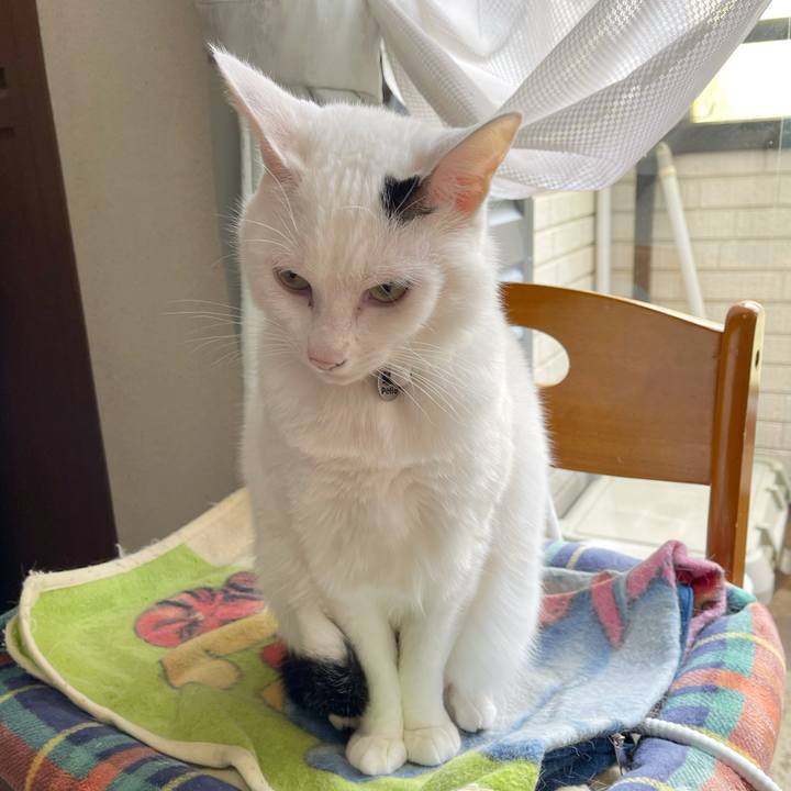 Da3bc3ff 9520 43df abc8 2dd58b0a177a 1765752803757