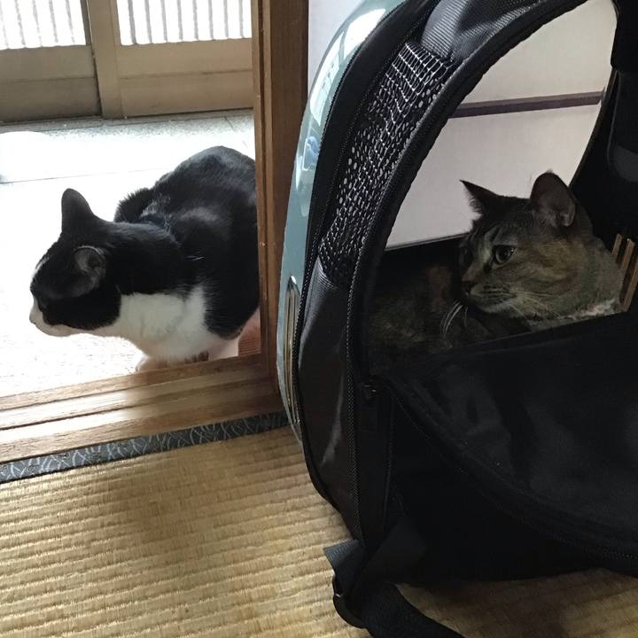 Da3bcfc3 1d29 446c b7e8 78861594a97e 1700873645617