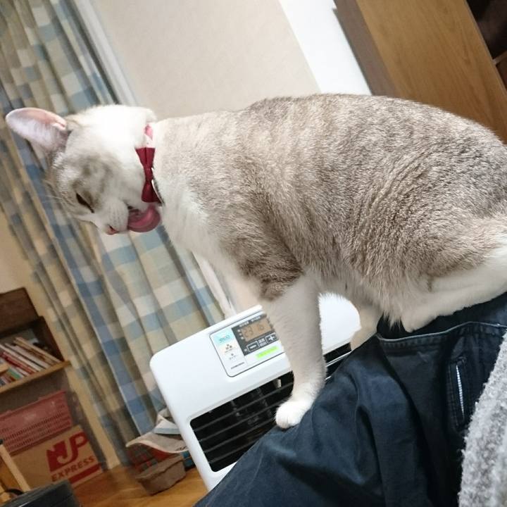 Da3bd7de 9771 464e 9864 bb1779f96092 1576916917370