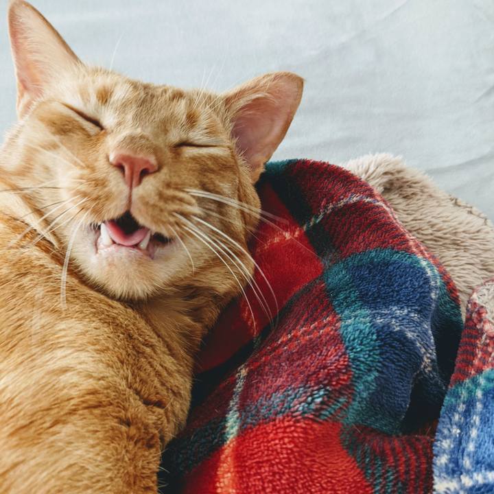 Da3bea5a 92f2 4954 abb4 16638f73dedf 1620723966713