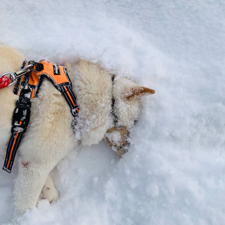 Da3bee42 6f62 494c aac0 5eea848a7de5 1673222352003