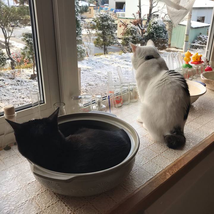 Da3befdb 501d 4134 bfe8 f6da920b1066 1573255042042