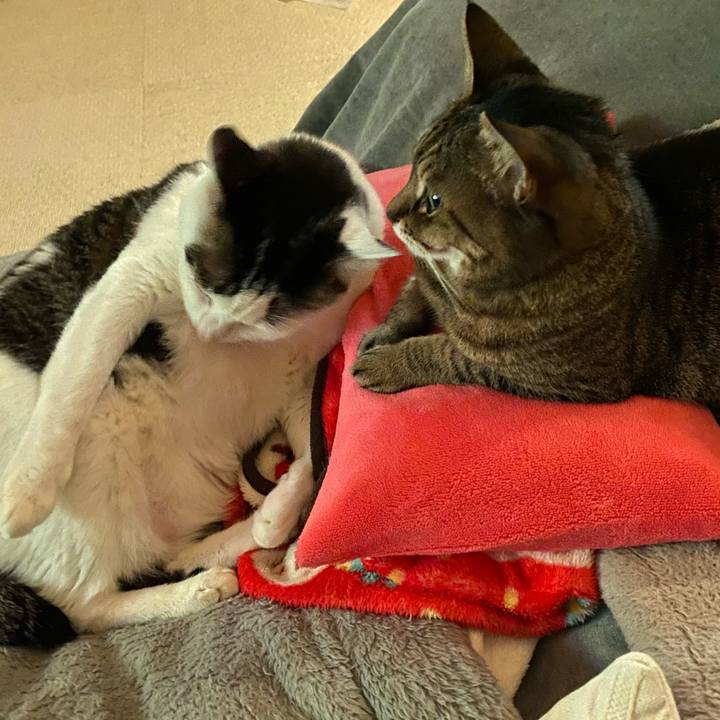 Da3bf040 c57e 4fee a020 c29646b89416 1774190718305