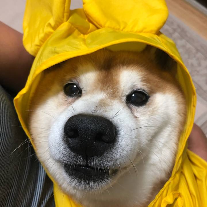 Da3c0947 2508 4e7d b96d b97e61a634e9 1563705232310