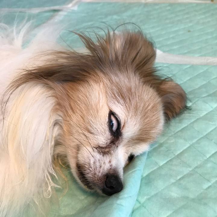 Da3c0a88 95b5 435b 8b3e 92884b518795 1508130021205