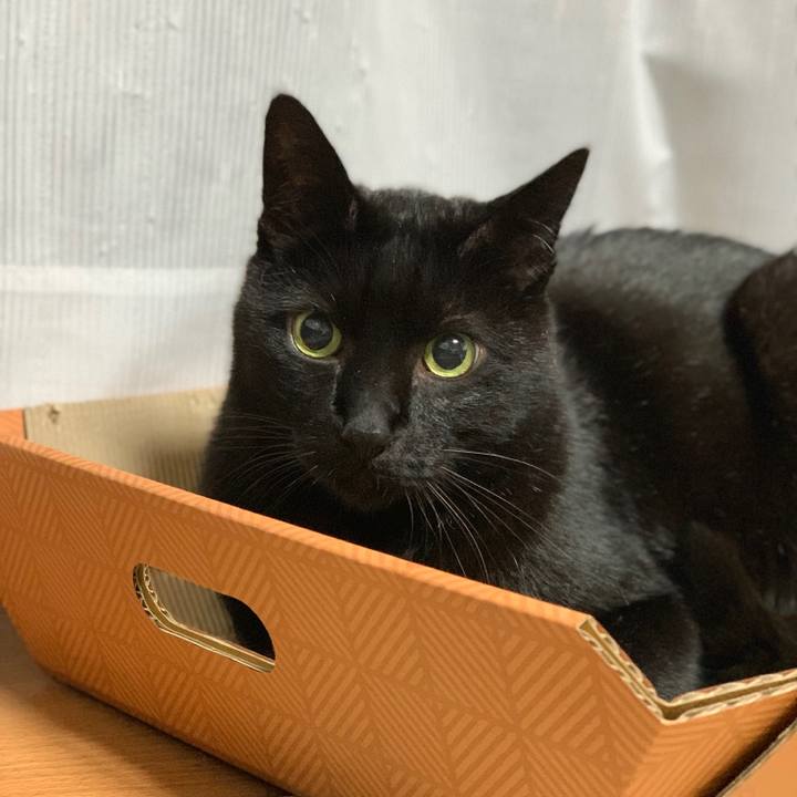 Da3c1cec 88e6 49bd b3fc 0a8285f6a0e2 1582161324415