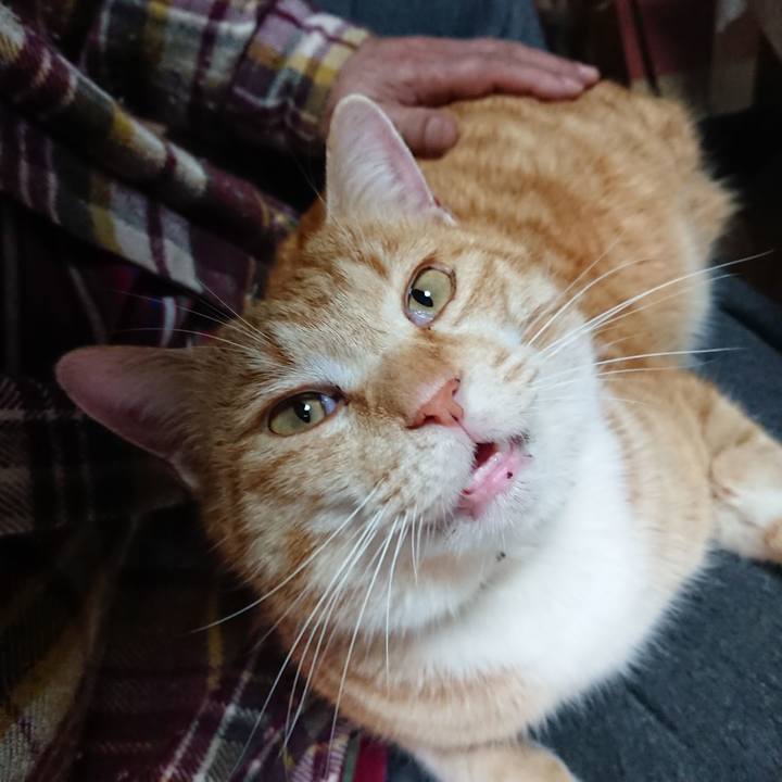 Da3c3843 c221 44f2 a4b9 3a461454e4b6 1581832938110