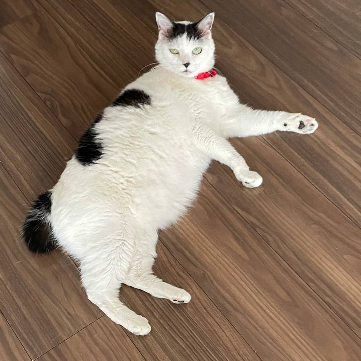 Da3c3fb1 ff7b 4999 95a0 ddffcbd9c1df 1620473570922