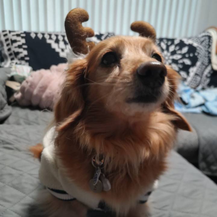 Da3c5992 8da6 4680 a338 96925cca66dc 1735087102322