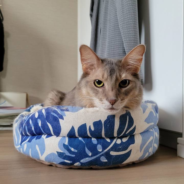 Da3c88f4 3ede 4fb8 a0f0 9472816542d0 1680611461313