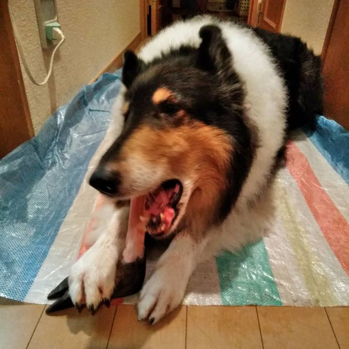 Da3ca88f 0a9b 471d a89d 2fb548edbb9f 1510146554867