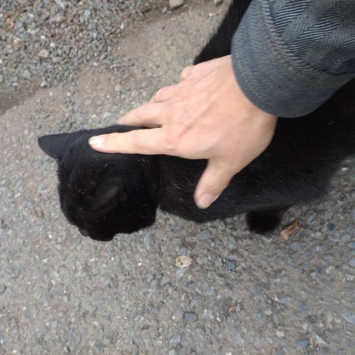 Da3cecf0 5c4a 40d7 b767 7776ed04907d 1732579859021