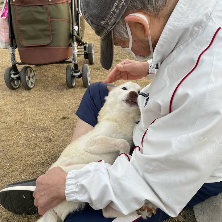 Da3d5647 de07 4fbb 849a fa4156dbb31a 1676799472278