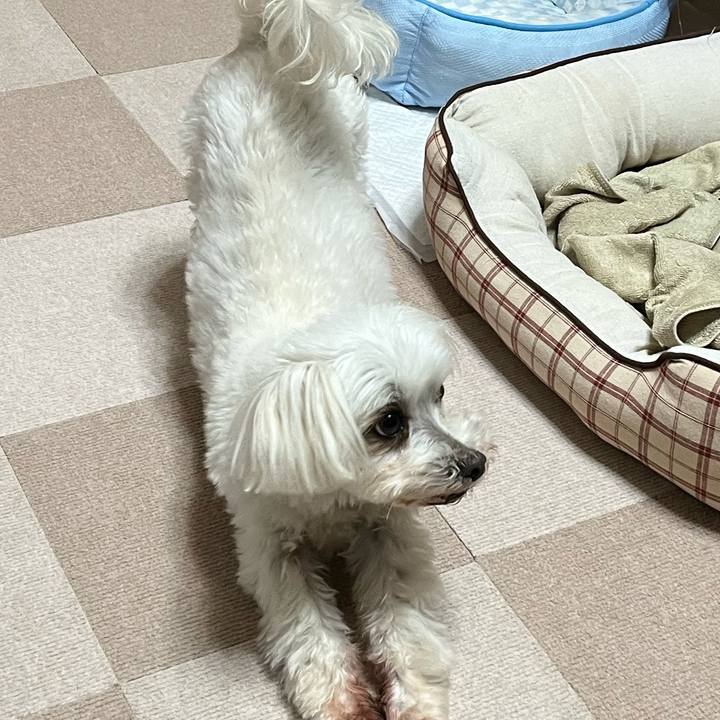 Da3d7ab5 ed63 494a 8e81 d93b2169756d 1651461225410