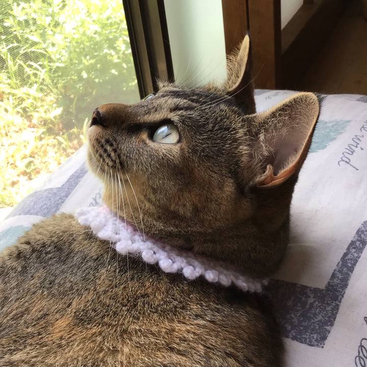 Da3d8776 93ad 4769 b615 3ba793cabfef 1598153521410